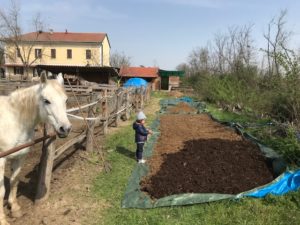 Scopri di più sull'articolo Cavalli Lombrichi un binomio perfetto