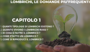 Scopri di più sull'articolo FAQ LOMBRICHI CAPITOLO 1