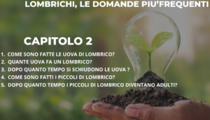 Scopri di più sull'articolo FAQ LOMBRICHI CAPITOLO DUE