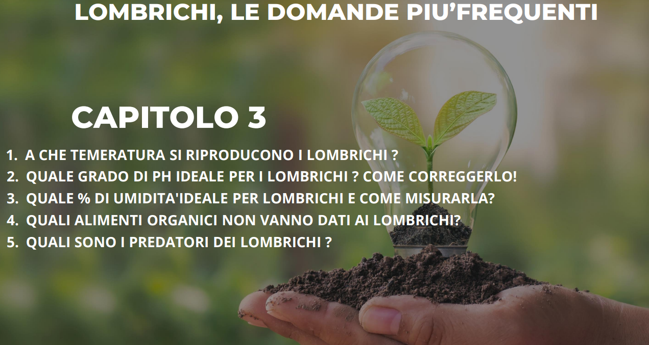 Al momento stai visualizzando FAQ LOMBRICHI CAPITOLO 3